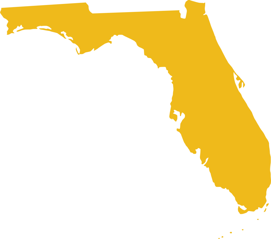Image of a map of the State of Florida representing Triton's coverage as it relates to obtaining a Florida Criminal Records Search.