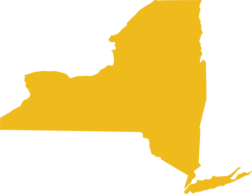 Image of the state of New York representing our coverage as it relates to New York criminal record searches.